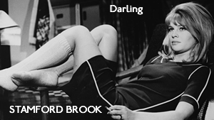 Stamford Brook – Darling (1965)